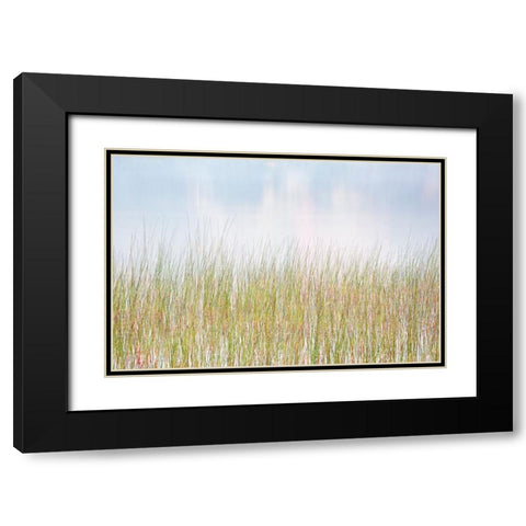 USA-New York-Adirondacks Long Lake-reeds-fog-and reflected fall color at Eaton Lake Black Modern Wood Framed Art Print with Double Matting by Collins, Ann