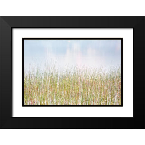 USA-New York-Adirondacks Long Lake-reeds-fog-and reflected fall color at Eaton Lake Black Modern Wood Framed Art Print with Double Matting by Collins, Ann