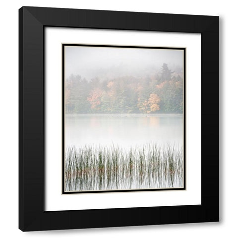 USA-New York-Adirondacks Long Lake-reeds-fog-and fall foliage at Eaton Lake Black Modern Wood Framed Art Print with Double Matting by Collins, Ann