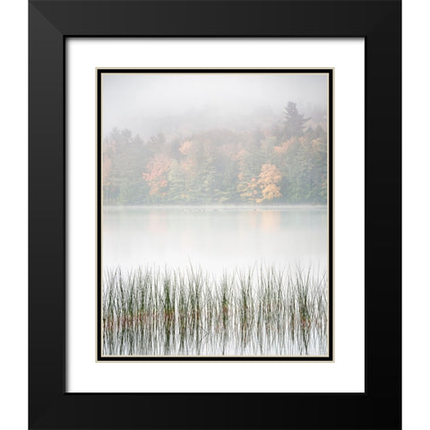 USA-New York-Adirondacks Long Lake-reeds-fog-and fall foliage at Eaton Lake Black Modern Wood Framed Art Print with Double Matting by Collins, Ann