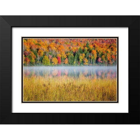 USA-New York-Adirondacks Lake Placid-morning sun at Connery Pond Black Modern Wood Framed Art Print with Double Matting by Collins, Ann