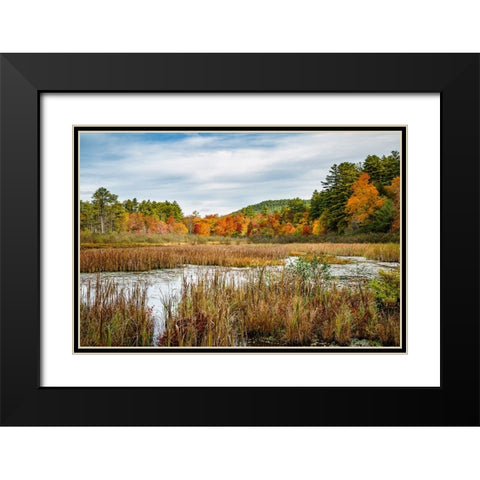 USA-New York-Adirondacks Bolton Landing-forest preserve marsh near Lake George Black Modern Wood Framed Art Print with Double Matting by Collins, Ann