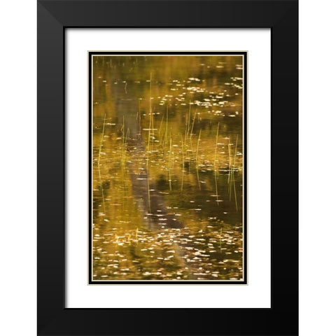NY, Adirondack Park Fall reflections on a pond Black Modern Wood Framed Art Print with Double Matting by OBrien, Jay