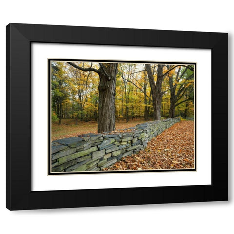 New York, Greene County Hand-built stone fence Black Modern Wood Framed Art Print with Double Matting by Terrill, Steve