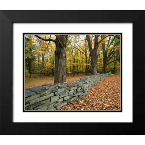 New York, Greene County Hand-built stone fence Black Modern Wood Framed Art Print with Double Matting by Terrill, Steve