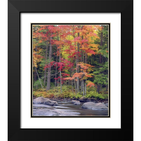 USA, New York, Autumn in the Adirondack Mountains Black Modern Wood Framed Art Print with Double Matting by Talbot Frank, Christopher