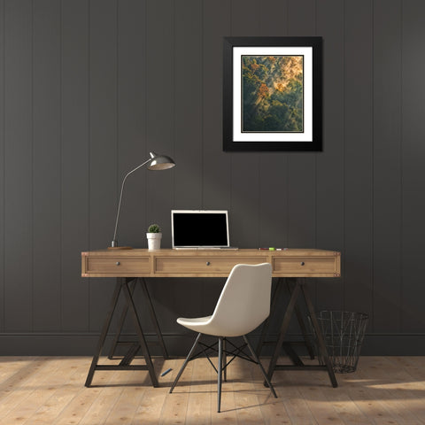 NY, Letchworth SP Sunrise lights foggy forest Black Modern Wood Framed Art Print with Double Matting by OBrien, Jay