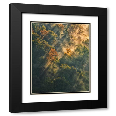 NY, Letchworth SP Sunrise lights foggy forest Black Modern Wood Framed Art Print with Double Matting by OBrien, Jay