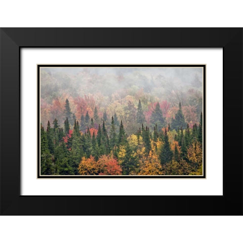 USA, New York, Adirondacks State Park Black Modern Wood Framed Art Print with Double Matting by OBrien, Jay