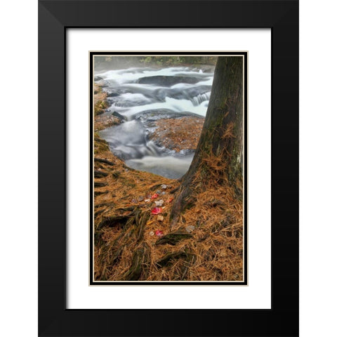 USA, New York, Inlet Mist over rushing stream Black Modern Wood Framed Art Print with Double Matting by OBrien, Jay