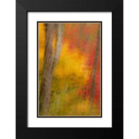 New York, Inlet Abstract of autumn forest scene Black Modern Wood Framed Art Print with Double Matting by OBrien, Jay