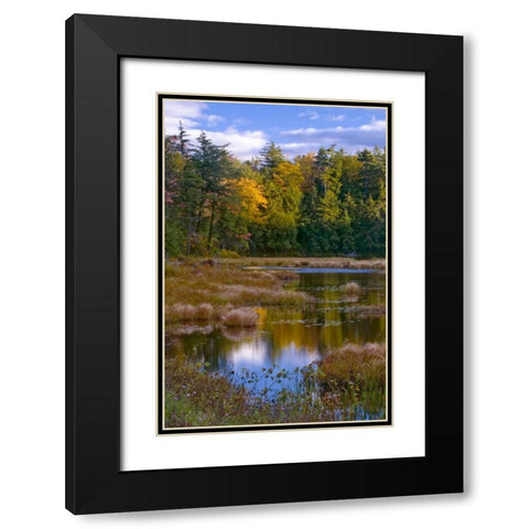 NY, Adirondack Mts Forest reflections in pond Black Modern Wood Framed Art Print with Double Matting by Rotenberg, Nancy