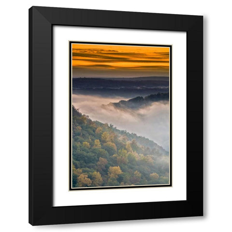New York, Letchworth SP Foggy landscape, sunrise Black Modern Wood Framed Art Print with Double Matting by OBrien, Jay