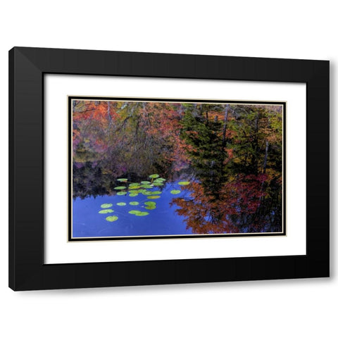 NY, Adirondack Mts Trees reflecting in water Black Modern Wood Framed Art Print with Double Matting by OBrien, Jay