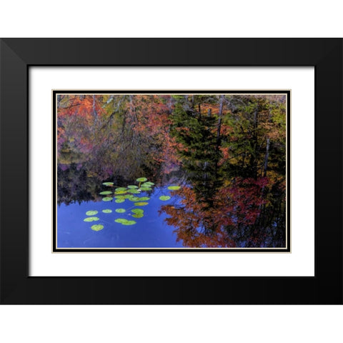 NY, Adirondack Mts Trees reflecting in water Black Modern Wood Framed Art Print with Double Matting by OBrien, Jay