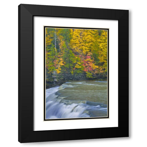 NY, Letchworth SP Waterfall and forest scenic Black Modern Wood Framed Art Print with Double Matting by OBrien, Jay