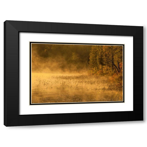 New York, Adirondack Mts Mist on Raquette Lake Black Modern Wood Framed Art Print with Double Matting by OBrien, Jay