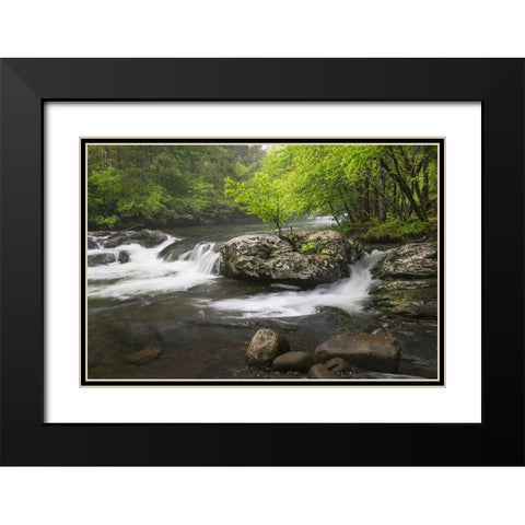 Cascading mountain stream-Great Smoky Mountains National Park-Tennessee-North Carolina Black Modern Wood Framed Art Print with Double Matting by Jones, Adam