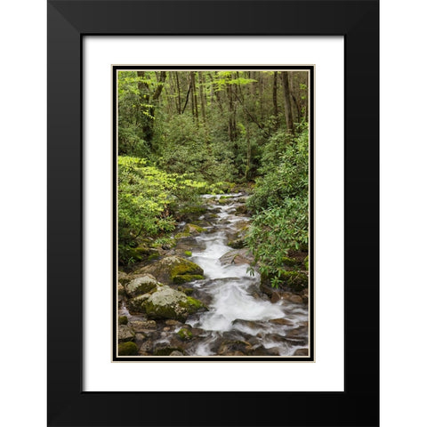 Cascading mountain stream-Great Smoky Mountains National Park-Tennessee-North Carolina Black Modern Wood Framed Art Print with Double Matting by Jones, Adam