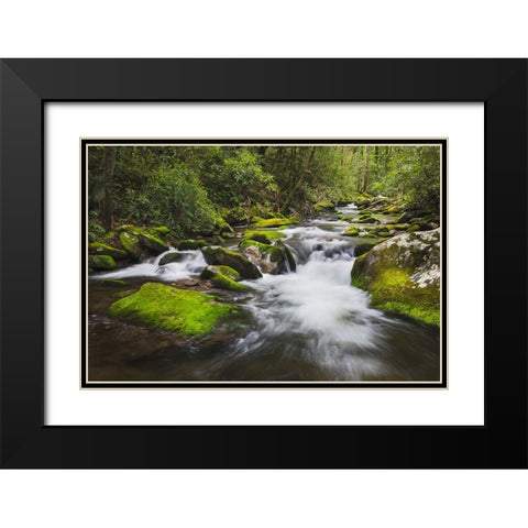 Cascading mountain stream-Great Smoky Mountains National Park-Tennessee-North Carolina Black Modern Wood Framed Art Print with Double Matting by Jones, Adam