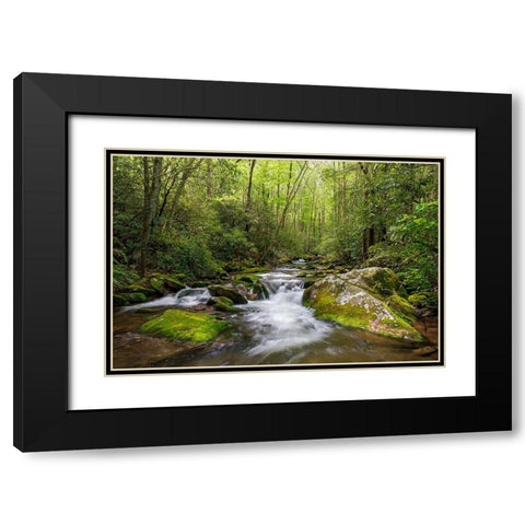 Cascading mountain stream-Great Smoky Mountains National Park-Tennessee-North Carolina Black Modern Wood Framed Art Print with Double Matting by Jones, Adam