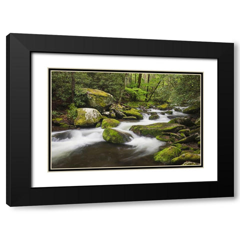 Cascading mountain stream-Great Smoky Mountains National Park-Tennessee-North Carolina Black Modern Wood Framed Art Print with Double Matting by Jones, Adam
