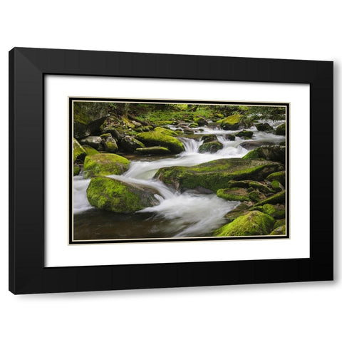 Cascading mountain stream-Great Smoky Mountains National Park-Tennessee-North Carolina Black Modern Wood Framed Art Print with Double Matting by Jones, Adam