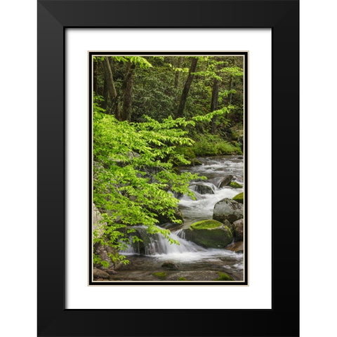 Cascading mountain stream-Great Smoky Mountains National Park-Tennessee-North Carolina Black Modern Wood Framed Art Print with Double Matting by Jones, Adam