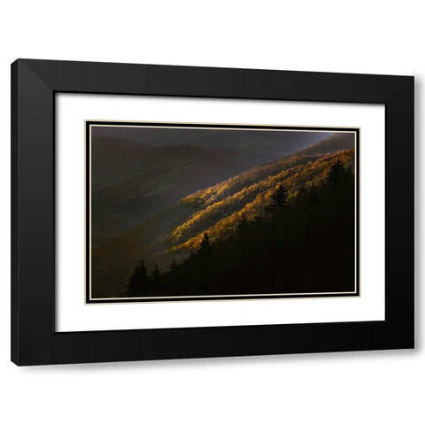 First light morning on early spring trees-Oconaluftee Valley-Great Smoky Mountains National Park Black Modern Wood Framed Art Print with Double Matting by Jones, Adam