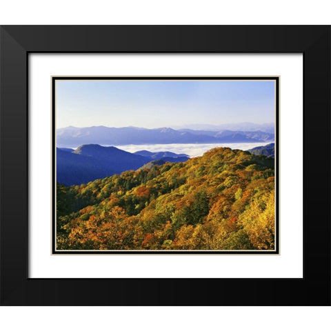 NC, Great Smoky Mts Forest in autumn Black Modern Wood Framed Art Print with Double Matting by Flaherty, Dennis