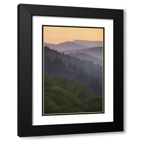 North Carolina Oconaluftee Overlook at sunrise Black Modern Wood Framed Art Print with Double Matting by Flaherty, Dennis