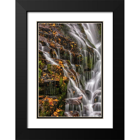 North Carolina, Brevard Waterfall in DuPont SF Black Modern Wood Framed Art Print with Double Matting by OBrien, Jay