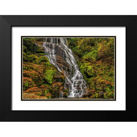 North Carolina, Brevard Waterfall in DuPont SF Black Modern Wood Framed Art Print with Double Matting by OBrien, Jay