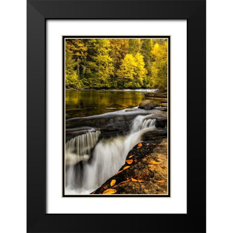 North Carolina, Brevard Landscape in Pisgah NF Black Modern Wood Framed Art Print with Double Matting by OBrien, Jay