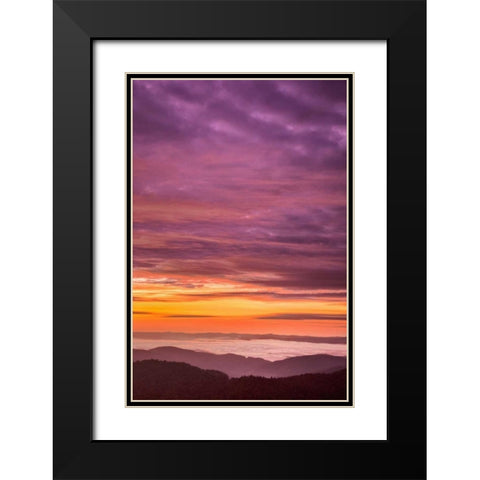 North Carolina, Brevard Landscape in Pisgah NF Black Modern Wood Framed Art Print with Double Matting by OBrien, Jay