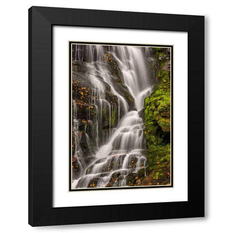 North Carolina, Brevard Waterfall in DuPont SF Black Modern Wood Framed Art Print with Double Matting by OBrien, Jay