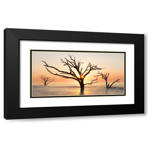 North Carolina Sunrise at Botany Bay Preserve Black Modern Wood Framed Art Print with Double Matting by Bush, Marie