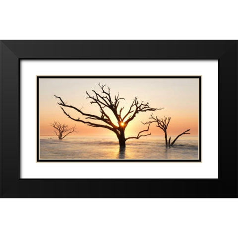 North Carolina Sunrise at Botany Bay Preserve Black Modern Wood Framed Art Print with Double Matting by Bush, Marie