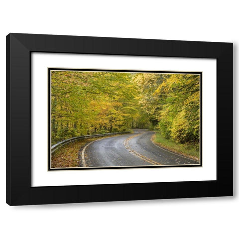North Carolina Road through autumn forest Black Modern Wood Framed Art Print with Double Matting by Paulson, Don