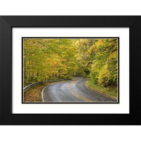 North Carolina Road through autumn forest Black Modern Wood Framed Art Print with Double Matting by Paulson, Don