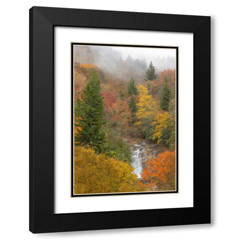 North Carolina, Bubbling Springs Falls in Autumn Black Modern Wood Framed Art Print with Double Matting by Paulson, Don