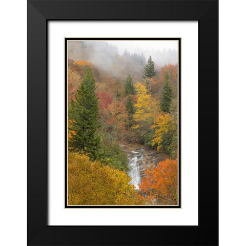 North Carolina, Bubbling Springs Falls in Autumn Black Modern Wood Framed Art Print with Double Matting by Paulson, Don