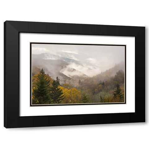 North Carolina, Great Smoky Mts Autumn landscape Black Modern Wood Framed Art Print with Double Matting by Paulson, Don