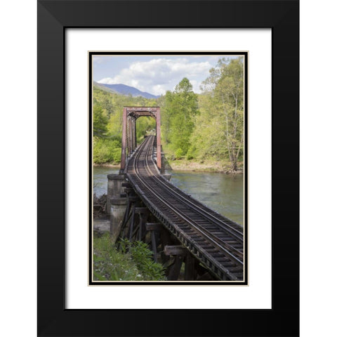 North Carolina Abandoned railroad trestle Black Modern Wood Framed Art Print with Double Matting by Grall, Don
