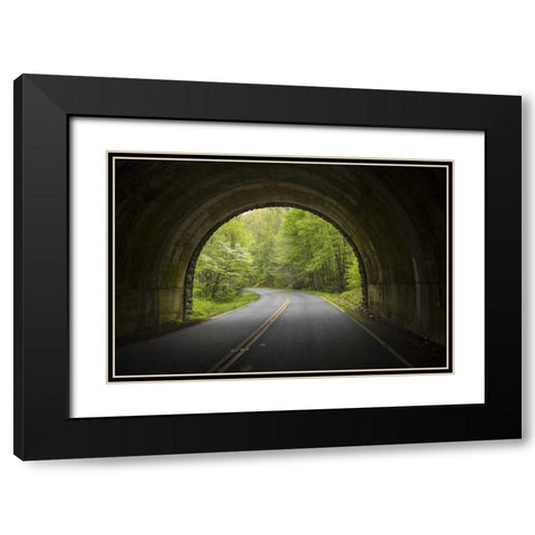 North Carolina Tunnel on the Blue Ridge Parkway Black Modern Wood Framed Art Print with Double Matting by Grall, Don