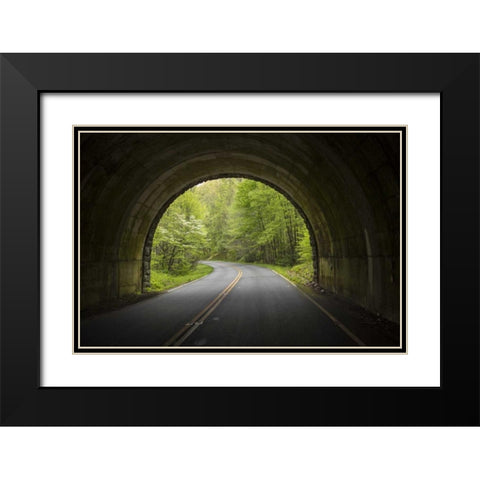 North Carolina Tunnel on the Blue Ridge Parkway Black Modern Wood Framed Art Print with Double Matting by Grall, Don