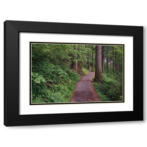 Paved pathway through forest-Columbia River Gorge-Oregon Black Modern Wood Framed Art Print with Double Matting by Jones, Adam