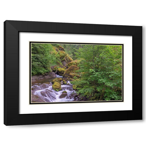 Tanner Creek-Columbia River Gorge-Oregon Black Modern Wood Framed Art Print with Double Matting by Jones, Adam