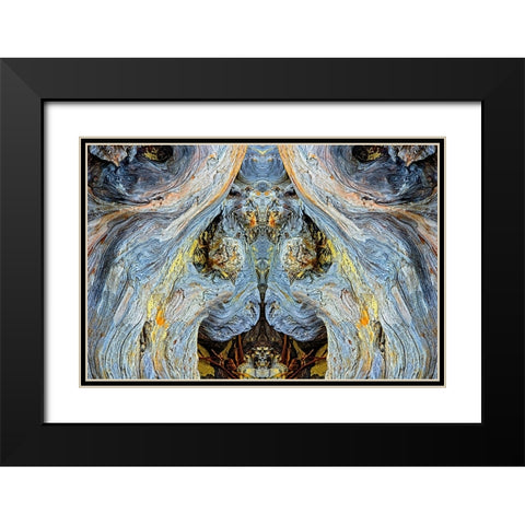 Abstract pattern in driftwood-Bandon Beach-Oregon Black Modern Wood Framed Art Print with Double Matting by Jones, Adam