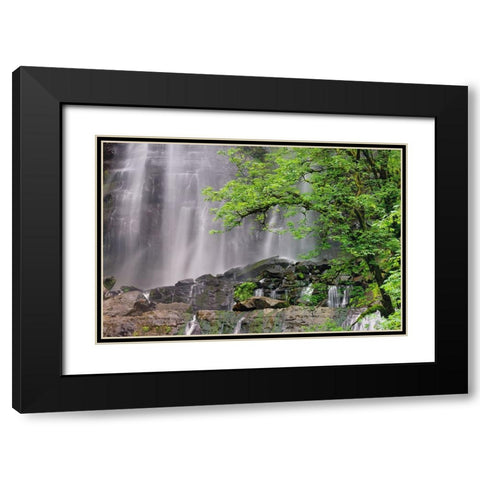 Silver Falls-Golden and Silver Falls State Natural Area-Oregon Black Modern Wood Framed Art Print with Double Matting by Jones, Adam